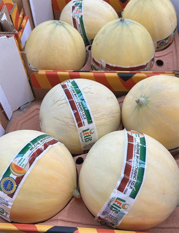 Melone - Mantova - 2,00 euro al chilogrammo